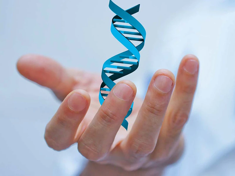 ДНК тест на отцовство и родство.jpg